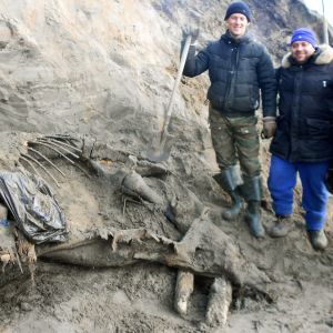 Välbevarad mammut hittades i Sibirien