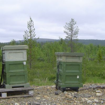 Aappo Valon mehiläisyhdyskunnat tunturimaastossa