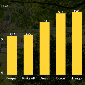 En graf som visar löner för sommarjobbare på parkavdelningar i finlandssvenska kommuner.