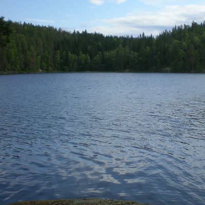 Paistjärven alueen järvissä ja lammissa on huikean kirkas vesi.