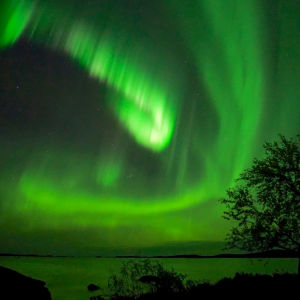 Öisessä kuvassa järvenranta, lehtipuu ja revotulet. Vastarannalla häämöttää Luosmavaara.