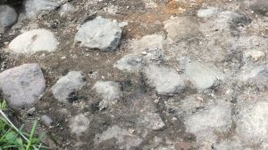 Borgens golv och kol från branden på 1500-talet. Kullerstenar och små kolbitar i arkeologernas grävruta, lite gräs vid den raka kanten.