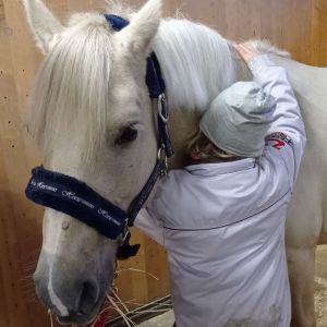 En 10-årig flicka kramar en ljus ponny. ponnyn står inne i en ljus box och har en grimma på huvudet. Ponnyn äter hö.