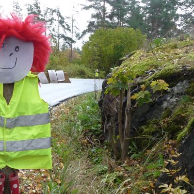 Heijastinliivinukke tien varressa Lohjalla.