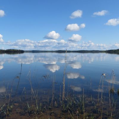 Puruveden maisemaa Punkaharjun länsipäässä.