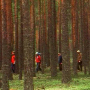 Ihmisiä metsässä