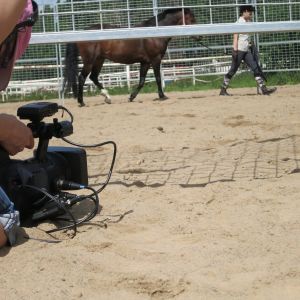 Nainen kävelyttää hevosta kentällä, kuvaaja kuvaa