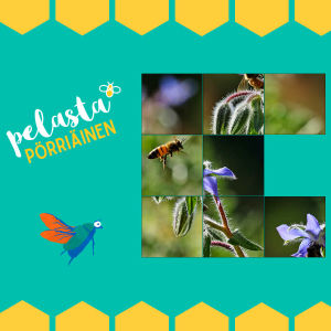 Pelasta pörriäinen -palapeli
