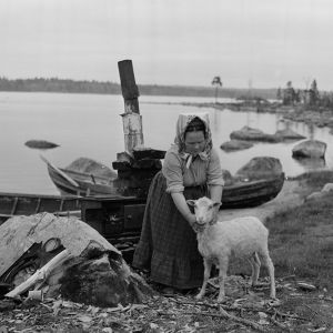 Kolttien leudd- ja käsityöperinteen taitaja Domna Sanila (1911–2003) lampaineen Sevettijärven Ukonselän rannass