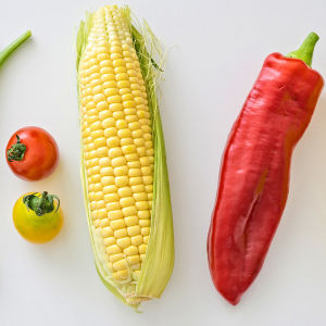 Bönor, tomater, en majskolv, en paprika och en gul pumpa.
