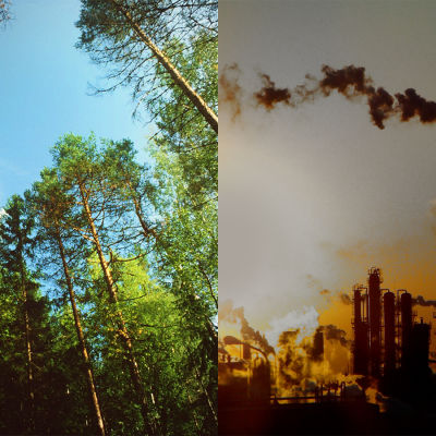 Bildcollage av en grön och lummig skog, och ett fabriksområde med mycket utsläpp.