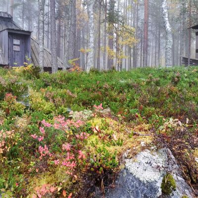 Opastaulu ja laavu Kaarresalon saaressa Oulujärven retkeilyalueella 26.9.2017.