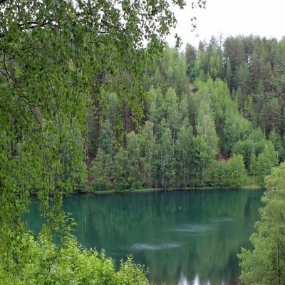 Lykynlampi KOntiolahden Onttolassa.