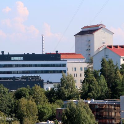 Vuokratontti Uusimmat Sisallot Yle Fi