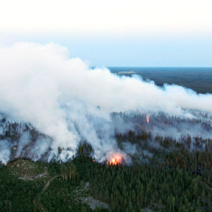 Skog som brinner i Kalajoki, i Norra Österbotten. Röken är fotograferad uppifrån.