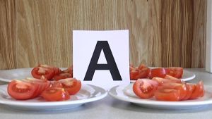 Inhemska tomater har mera smak, ansåg testpanelen. Tomat A är framställt på tallrikar