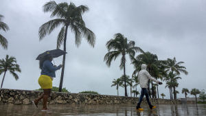 Strandpromenad på Miami Beach. En kvinna i gula shorts och med paraply och en man i vit jacka med huva. De går på en våt strandpromenad, i bakgrunden palmer. Det regnar hårt.
