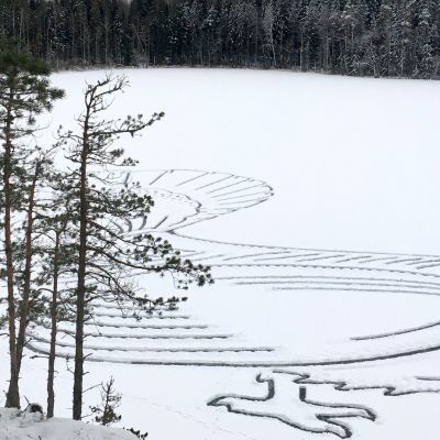Jäämetso.