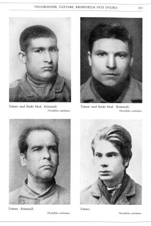20-luvun käsitys "tattarirodusta" Kuvitus Tapio Tammisen kirjasta, alkup. kuvalähde Herman Lundborg