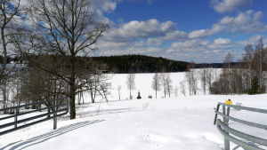 Kuvassa talvinen aukea.