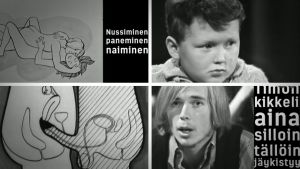 Aikoinaan 1970-luvulla seksivalistusta opetettiin näin. Joissakin kouluissa opetus on edelleen samalla tasolla.