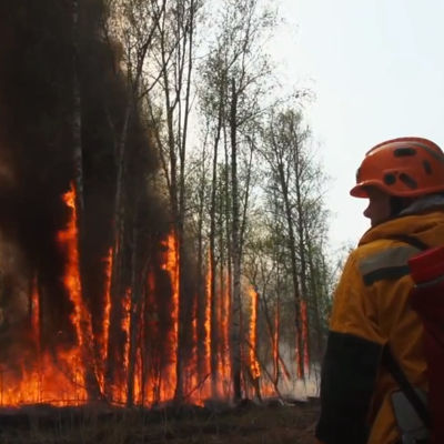 YAKUTIA, RUSSIA - AUGUST 2, 2021: An employee of the Russian Emergencies Ministry battles a wildfire in Russia?s Sakha Republic (Yakutia). The Russian Emergencies Ministry sent a combined engineer regiment and specialized equipment for battling wildfires raging in Yakutia. 