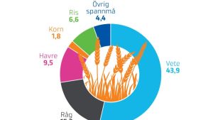Ett diagram som visar spannmålskonsumtionen bland finländarna i fjol. Ett pajdiagram som visar hur spannmålskonsumtionen bland finländarna var fördelade år 2019.