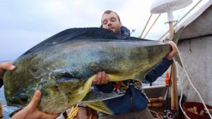 David Shortilla on kalaonnea, saaliina dorado-kala. David Shortia pitelee saamaansa dorado-kalaa