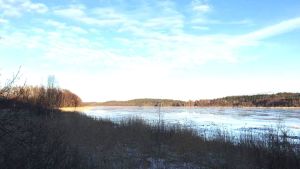 Läppträsket i Karis. En sjö i Karis som heter Läppträsket syns bakom strandens vegetation.