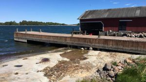 Sandholm är en kär ö för Eklundh både sommar som vinter. Berget tittar fram vid en brygga i skärgården vid lågt vattenstånd