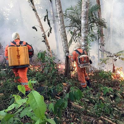 Två brandmän går i brinnande regnskog i Amazonas.