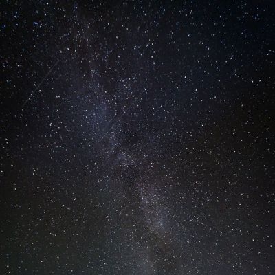 Helmipöllö ja linnunrata