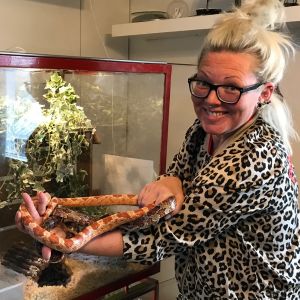 Anna-Carolina Ojaharju med ormar i händerna. 