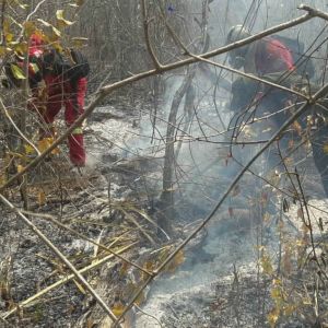 Brandmän kämpar mot en skogsbrand i Amazonas i östra Bolivia