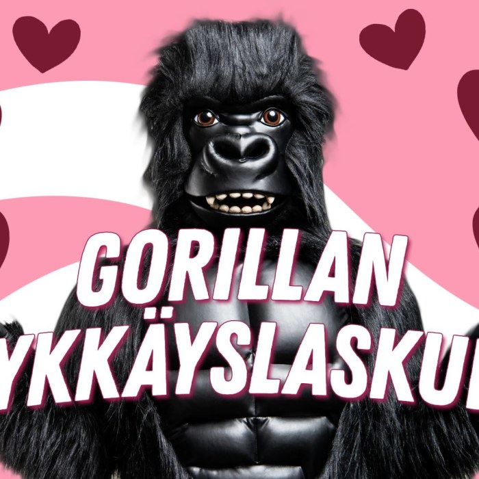 Ota Keltuainen Kiinni Jos Saat Galaxi Yle Fi