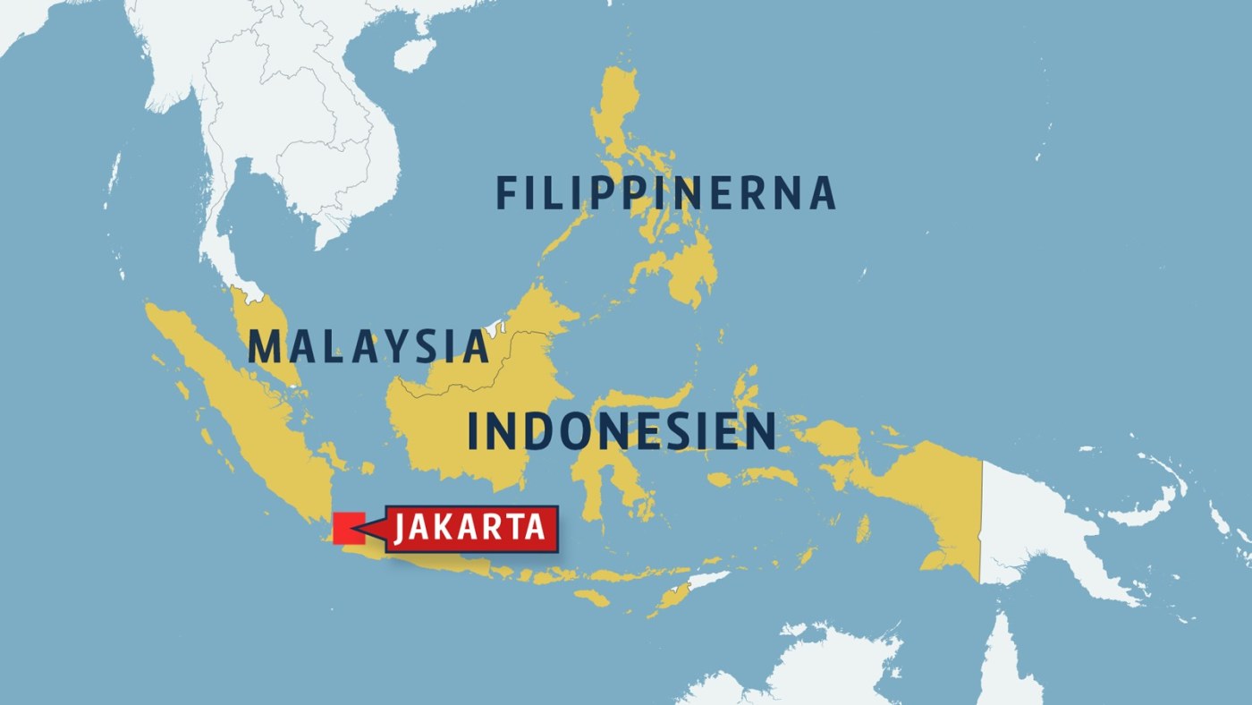 Niinistö på statsbesök i ett brinnande Indonesien | Utrikes | svenska