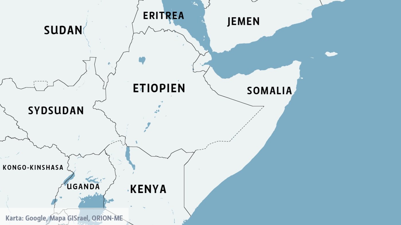 Tiotals dödsoffer efter polisattack mot demonstranter i Etiopien