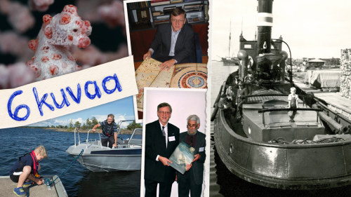 Itameren Heinakuun Kuusi Kuvaa Juha Nurminen 18 7 2015 Yle Fi