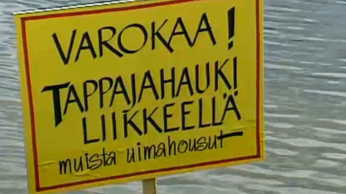 Siskolta pillua seksi sivustot Siskolta pillua seksi sivustot