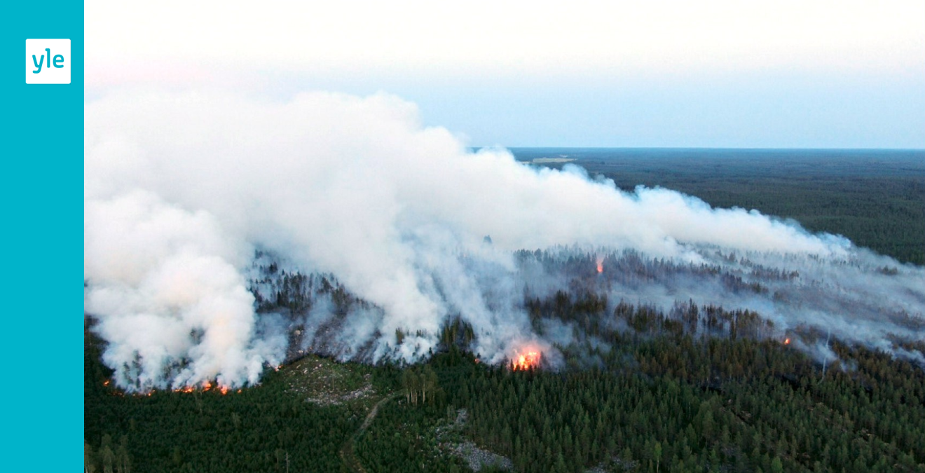 En stor del av skogen som förstördes i bränderna i Kalajoki tillhörde församlingen, 227 hektar gick upp i rök - Vimarsana News