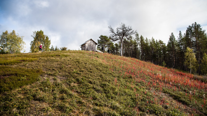 Kaapin Jounin kenttä.