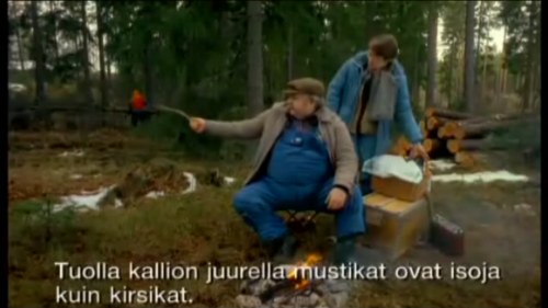 Kumpi on melankolisempi - ruotsalainen vai suomalainen, Roy Andersson? |  Elokuva & TV | Kulttuuri 