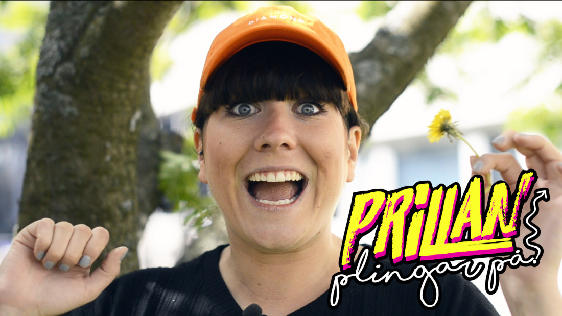 Sommarturné: Plingar Prillan på hos dig? | X3M | svenska ...