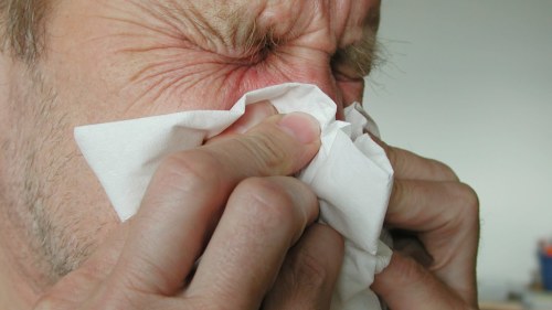 c vitamin vid förkylning c vitamin vid förkylning
