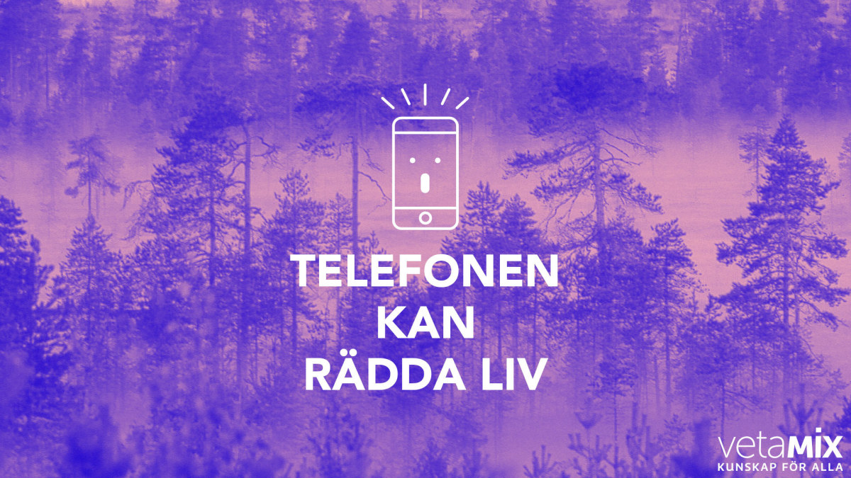 Hur Kan En Mobiltelefon Hjälpa Dig I En Nödsituation