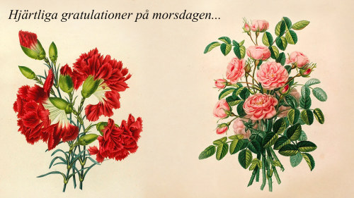 Oglada Morsdagskort X3m Svenska Yle Fi
