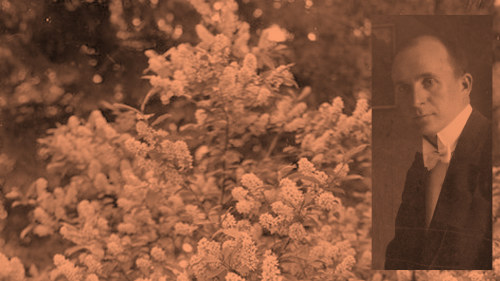 article thumbnail