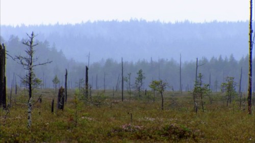 Patvinsuon Kansallispuisto On Eramaata Ja Koskematonta Luontoa Rakastavan Paikka Stromso Yle Fi Enemmän aikaa, enemmän hyviä keskusteluja ja enemmän kokemuksia. patvinsuon kansallispuisto on eramaata