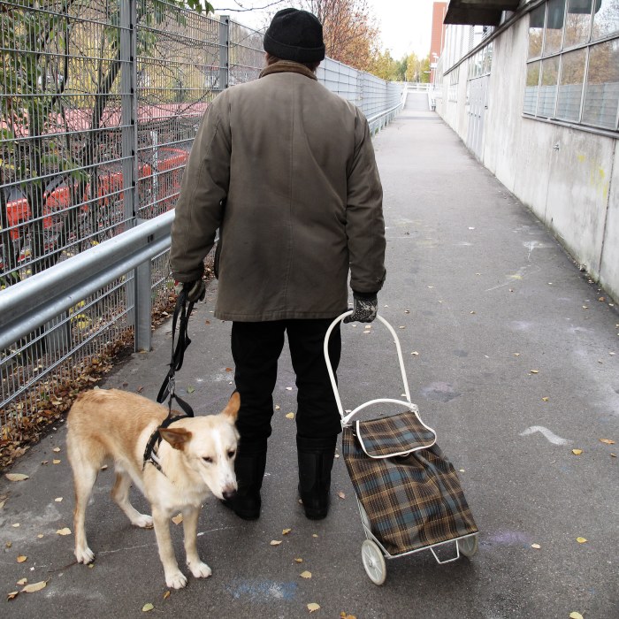 Karvainen tytöt pillua