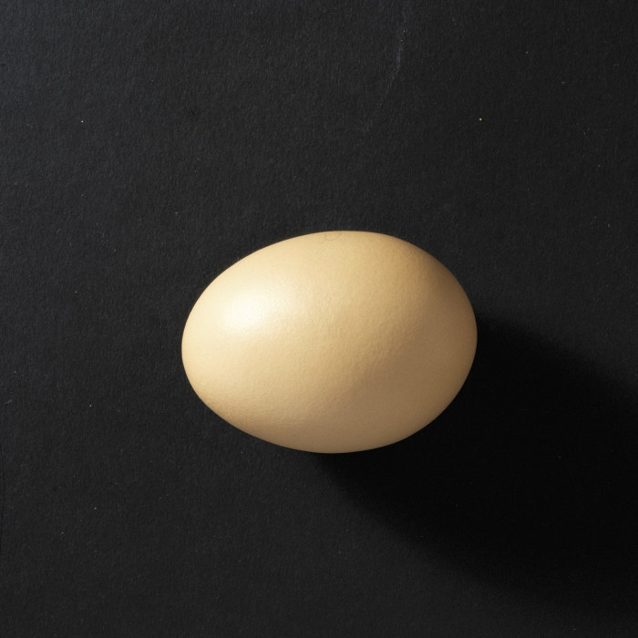 Tiesitkö tämän kananmunasta? | Akuutti 